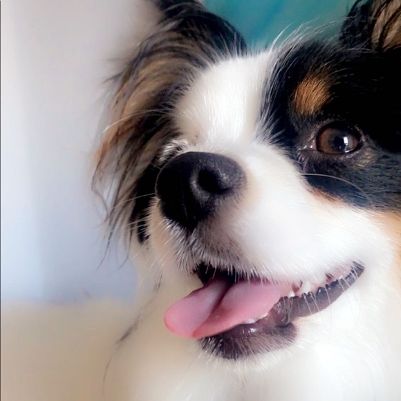 Meet your Posher, Jillian - Picture 6 of 6